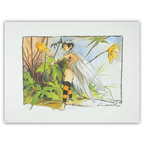 Loisel peter pan - peter, pan,