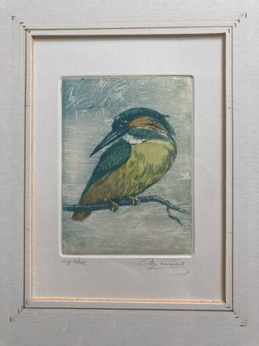 Vintage etching kingfisher - vintage,