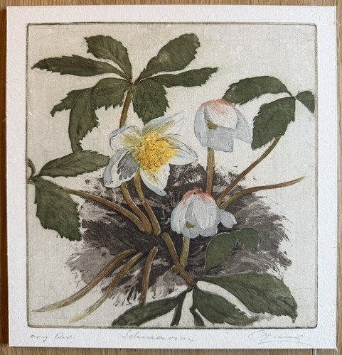 Wilhelm loisel - loisel, –